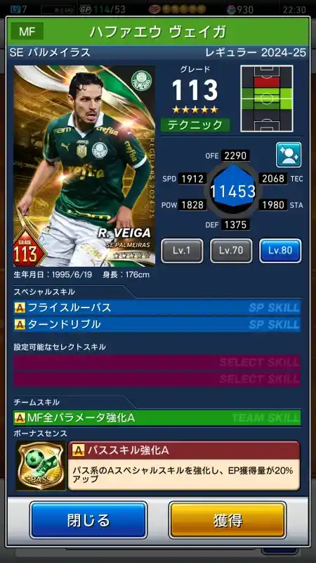 ハファエウヴェイガ SE パルメイラスの選手データ